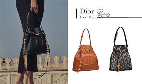 c'est dior bag small